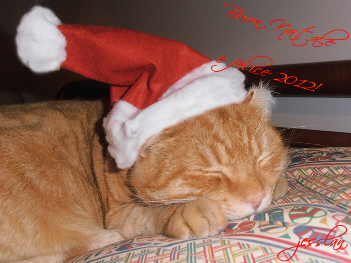 Buon Natale e Felice 2012!