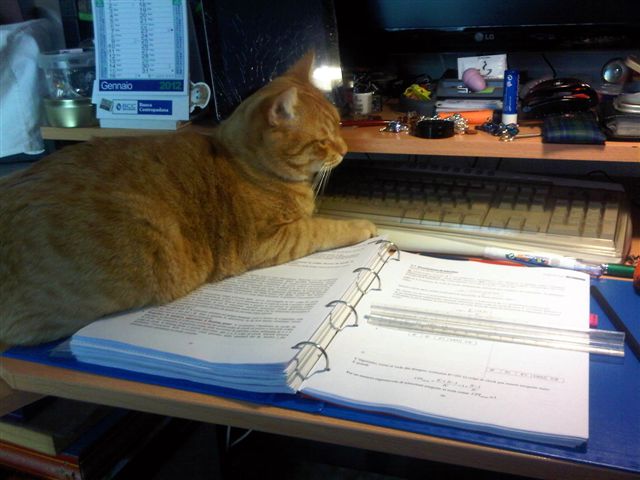 Ginger sugli appunti di architetture (1)