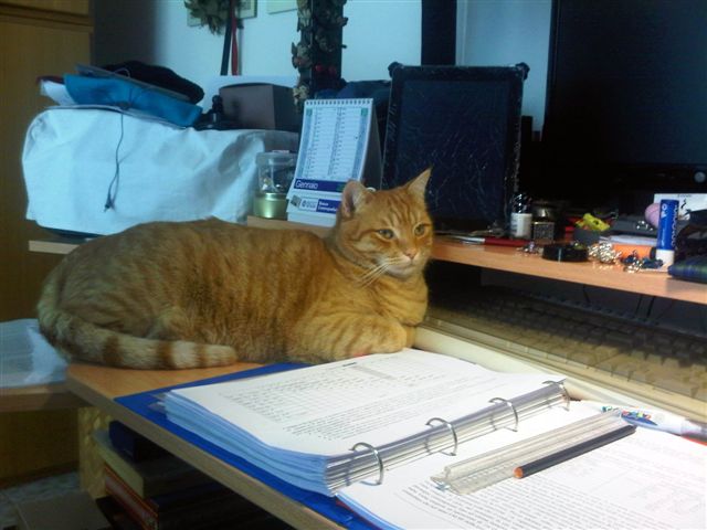 Ginger sugli appunti di architetture (3)