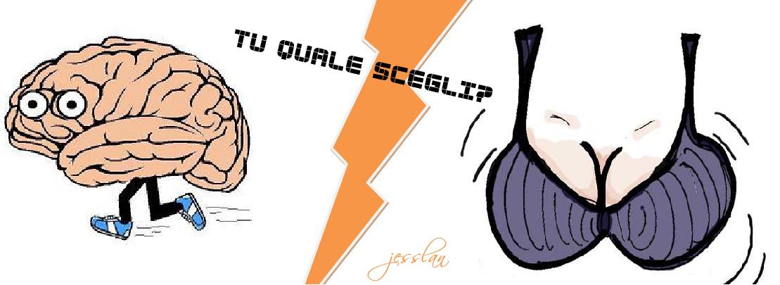 NVP: Tu quale scegli?