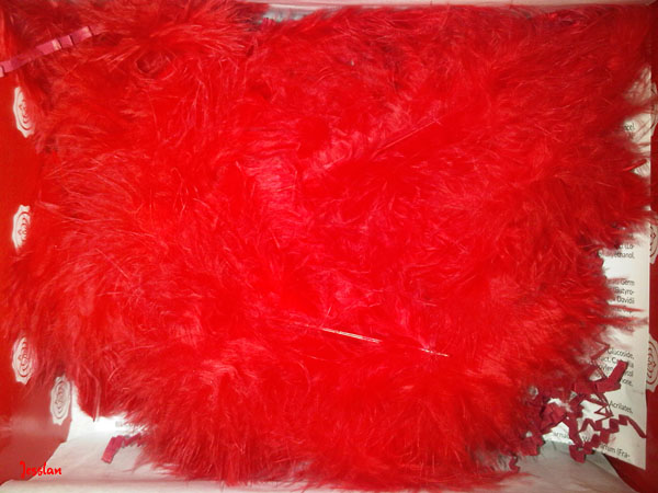 glossybox-gennaio2013 (12)