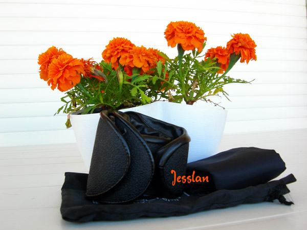 dancersrolls_jesslan (1)