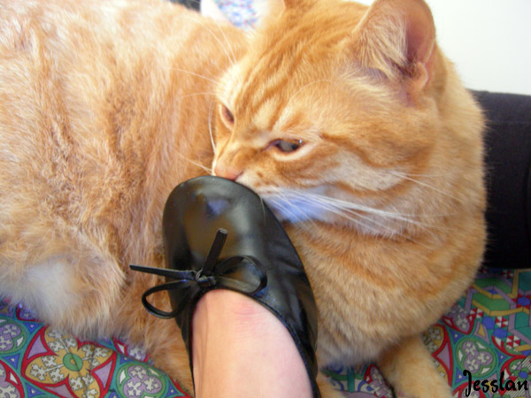 dancersrolls_jesslan (10)