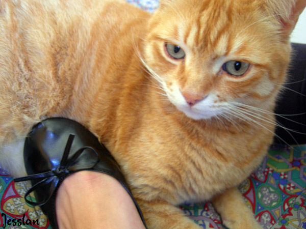 dancersrolls_jesslan (9)