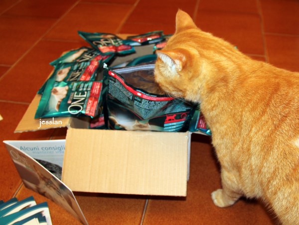 purina_cibogattisterilizzati (2)