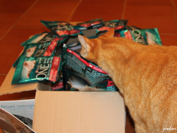 purina_cibogattisterilizzati (3)