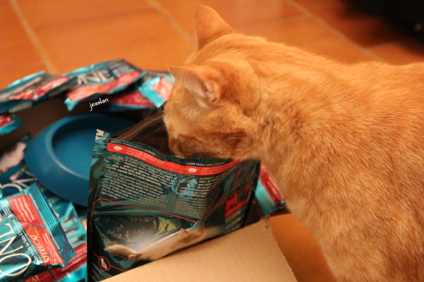 purina_cibogattisterilizzati (4)