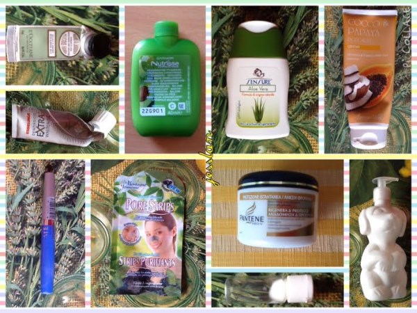 psp-agosto (600 x 450)