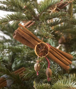 DIY Xmas Ornament