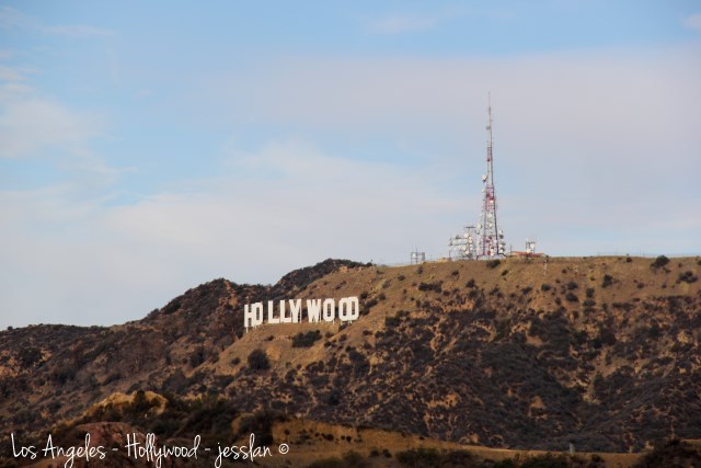 IMG_5300_hollywood