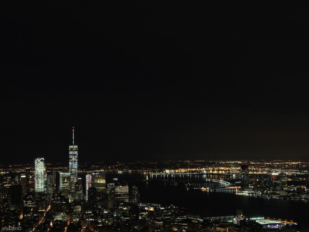 Vista dall'Empire State Building