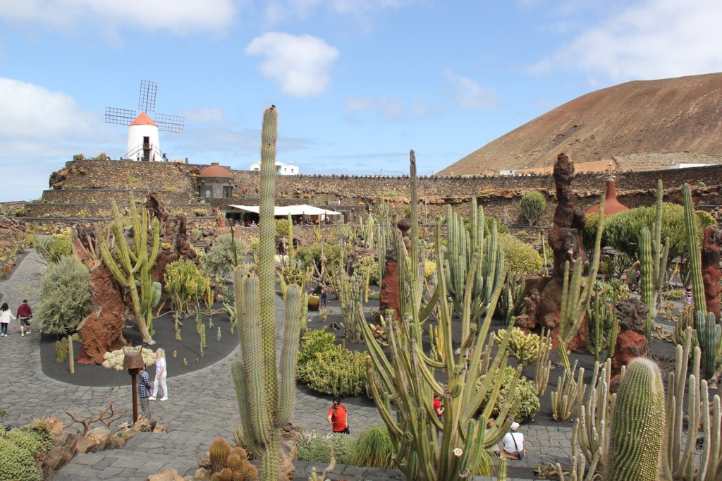 Jardin de Cactus